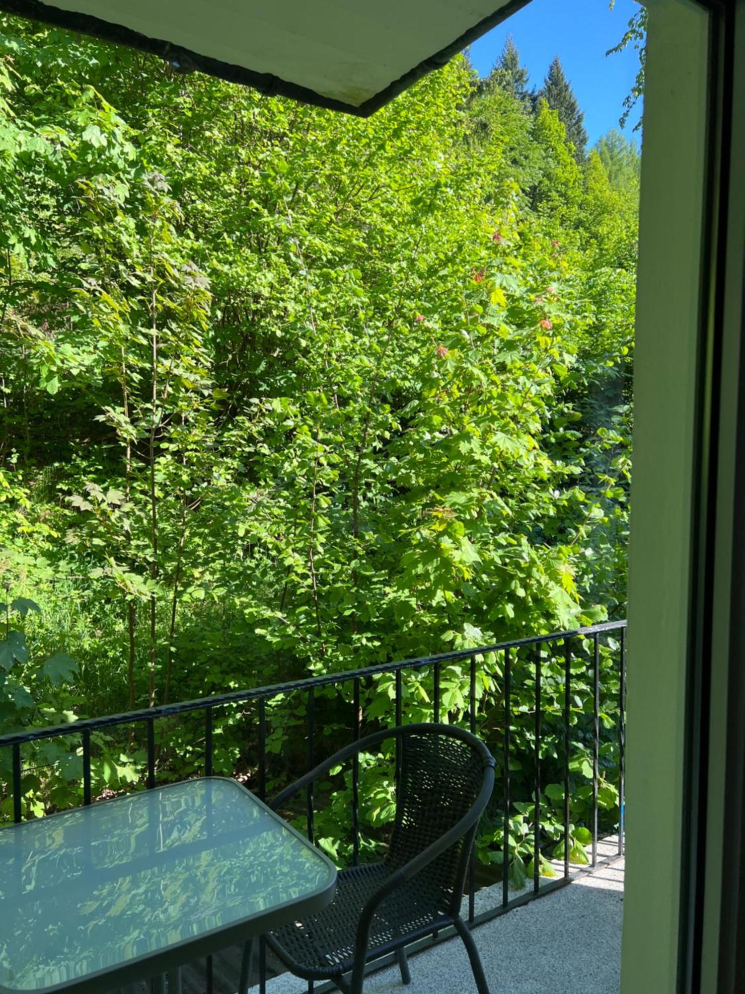 Pension Villa Pangea Bad Lauterberg im Harz Exterior foto